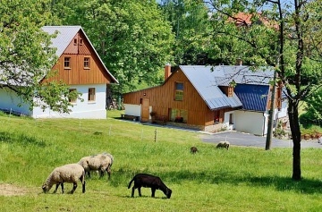 Apartmán Krkonoše - Vysoké nad Jizerou - Hořensko