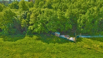 Glamping u lesa - Jiho�esk� maringotka - T�ebo�sko
