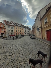 Chata vodní nádrž Skalka - Františkovy Lázně