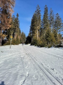 Duškovic chalupa Srní - Šumava - vlčí výběh