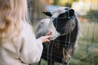 Glamping ubytování se zvířátky - Jizerské hory