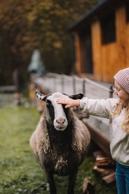 Glamping ubytování se zvířátky - Jizerské hory