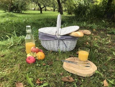 Glamping U Lesní víly - Bohousová - Potštejn