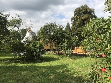Glamping U Lesní víly - Bohousová - Potštejn
