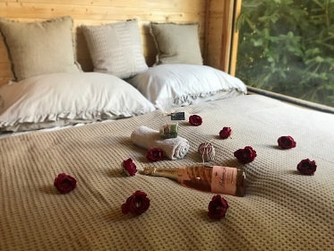 Glamping U Lesní víly - Bohousová - Potštejn