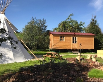 Glamping U Lesní víly - Bohousová - Potštejn