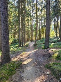 Chalupa U Hájenky 429 - Lipno nad Vltavou