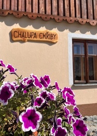 Chalupa Chiby - Detn v Orlickch horch