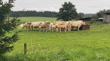 �umavsk� glamping - hrad Velhartice - Str�ov