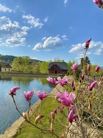 Roubenka u rybnka - Sobotn - Rudoltice