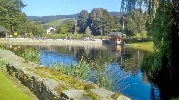 Roubenka u rybníka - Sobotín - Rudoltice