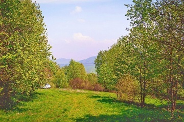 Maringotka V mechu a kapradí - Červená Voda