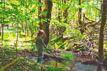 Glamping Maringotka - Buková Hora - Dolní Morava