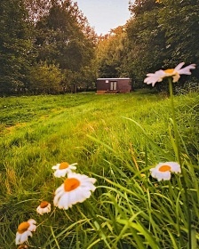 Glamping Maringotka - Buková Hora - Dolní Morava