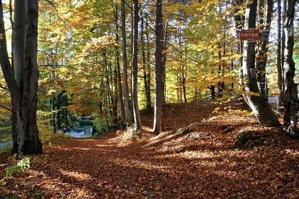 Chata Fatra - Tajov - ubytovanie Veľká Fatra