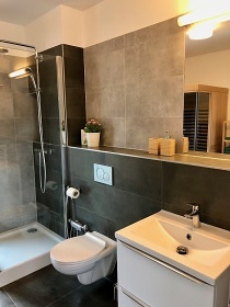 Chata s apartmány - Soběšovice - Žermanice
