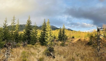 Srubov� chaty - Vysok� Tatry - Aquacity Poprad