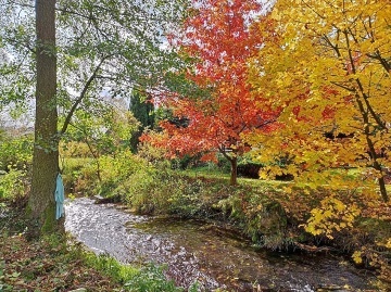 Chalupa Dědov - Teplice nad Metují - Adršpach