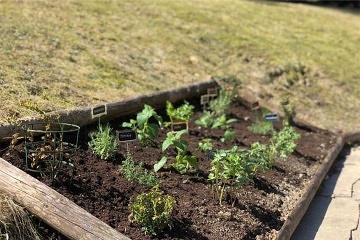 Rouben� chata a finsk� sauna - Razula - Beskydy