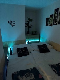 Chata s wellness - eka Ohe - Frantikovy Lzn