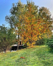Glamping Lad�v kraj - Chata S�zava - Py�ely