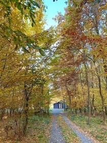 Glamping se saunou - Chata na S�zav� - Lad�v kraj