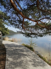 Chaty Mchovo jezero - Star Splavy - Doksy