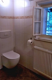 Horsk chalupa Krkonoe s baznem - Lys hora