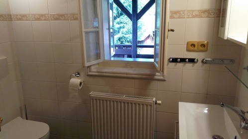 Horsk chalupa Krkonoe s baznem - Lys hora