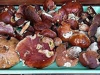 Horsk chalupa Krkonoe s baznem - Lys hora