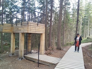 Horsk chalupa Krkonoe s baznem - Lys hora