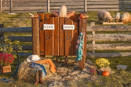 Wild West Wagon - glamping Samota snů