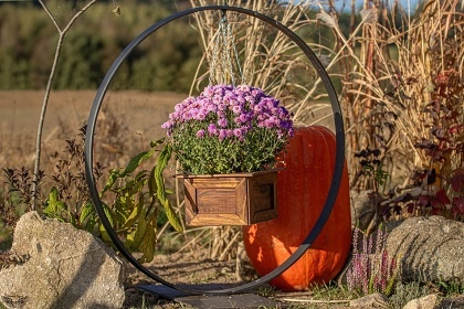 Wild West Wagon - glamping Samota snů
