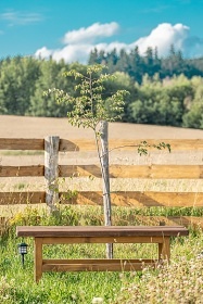 Wild West Wagon - glamping Samota snů