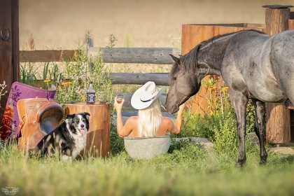 Wild West Wagon - glamping Samota snů