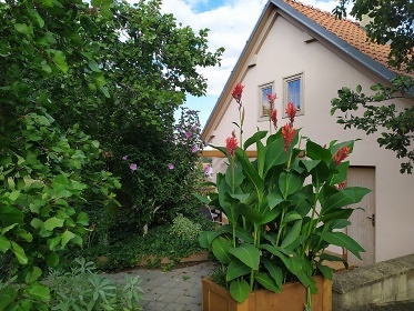 Apartmán a vinný sklep u Křížů - Bulhary