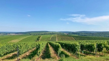 Apartmány Maidenburg - Pavlov - Mikulov