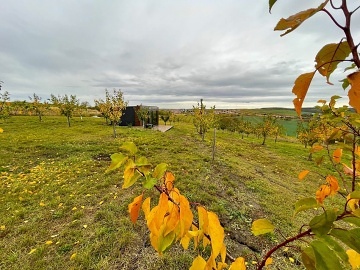 Glamping Mezi merukami - ejkovice - Morava