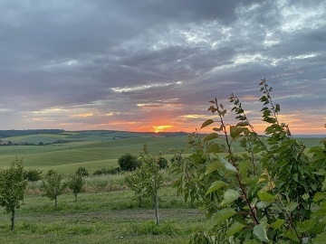 Glamping Mezi merukami - ejkovice - Morava