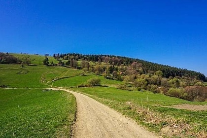 Chalupa a koupac� sud - B�l� Karpaty - B�ezov�
