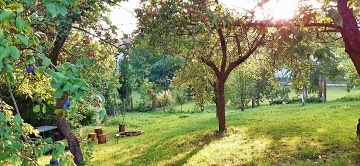 Chalupa u pehrady Vranov - Koupac sud - Jemnice