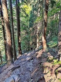 Chalupa J�no��kove Diery - Rozsutec - Mal� Fatra