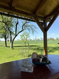 Jiho�esk� chalupa Zlat� Koruna - hrad D�v�� K�men