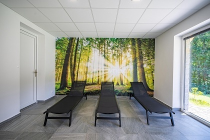 Chalupa s wellness - �ervenohorsk� sedlo - Ov��rna