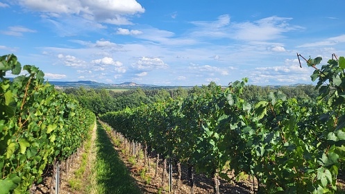 Chata Vinask rj - apartmny jin Morava