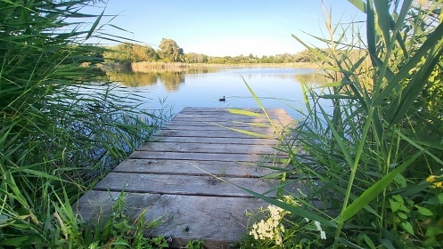 Chata Vinask rj - apartmny jin Morava