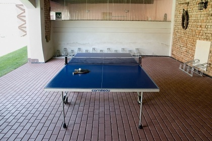 Jiho�esk� chalupa s baz�nem - Vesel� n. Lu�nic�