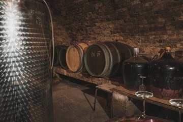 Chalupa a vinn� sklep Hustope�sko - Nov� Ml�ny