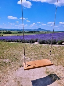 Apartmny Plava - Nov Mlny - Levandulov farma