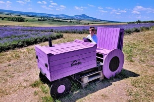 Apartmny Plava - Nov Mlny - Levandulov farma